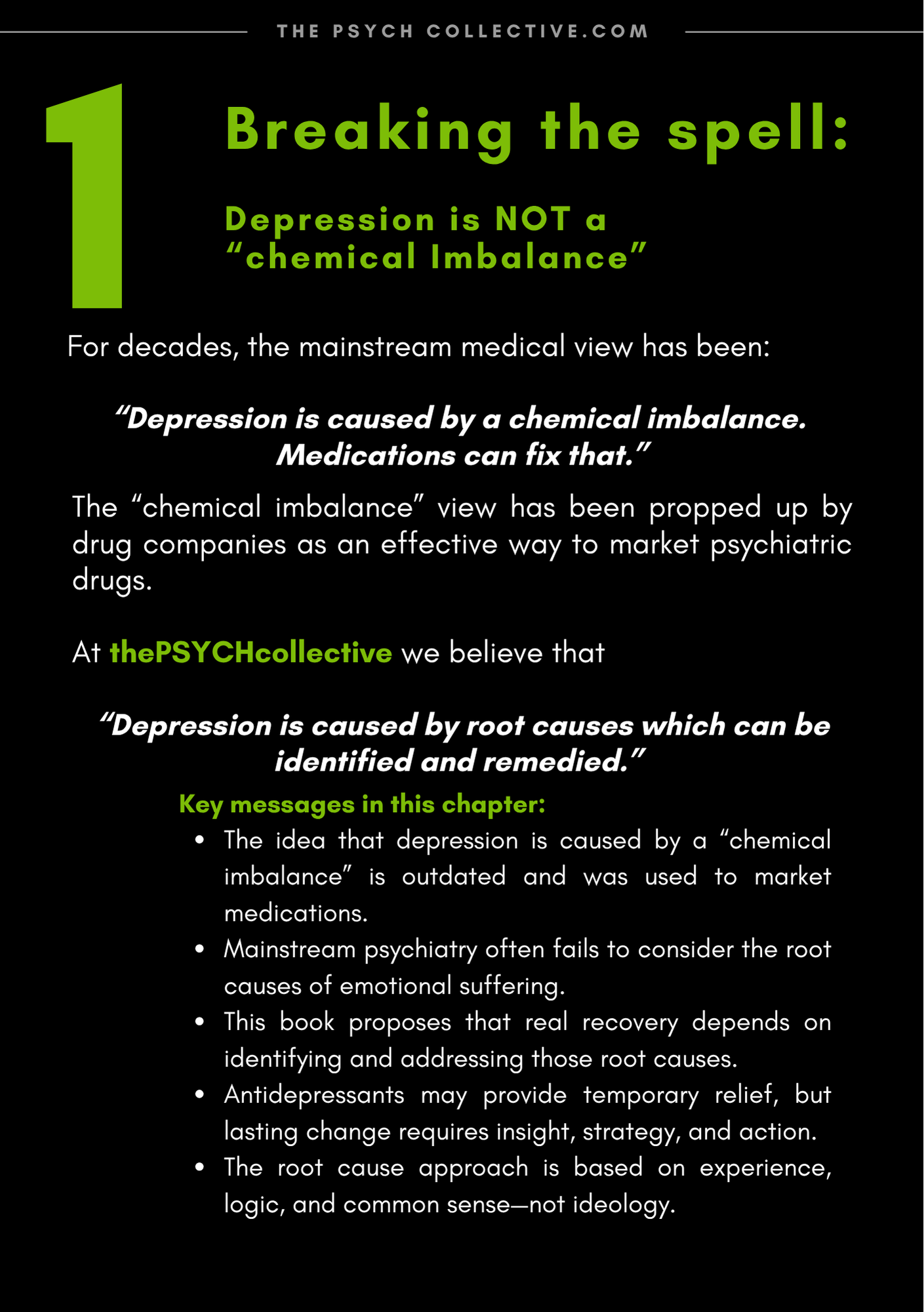The Depression Solution - Printed Book
