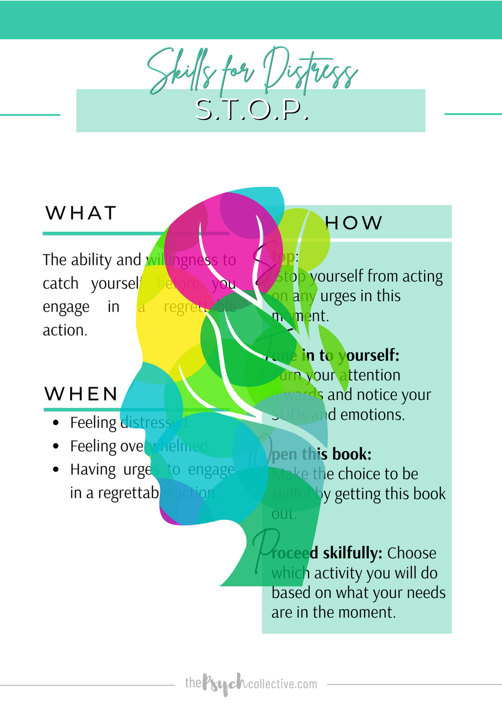 Skills for Coping eBook