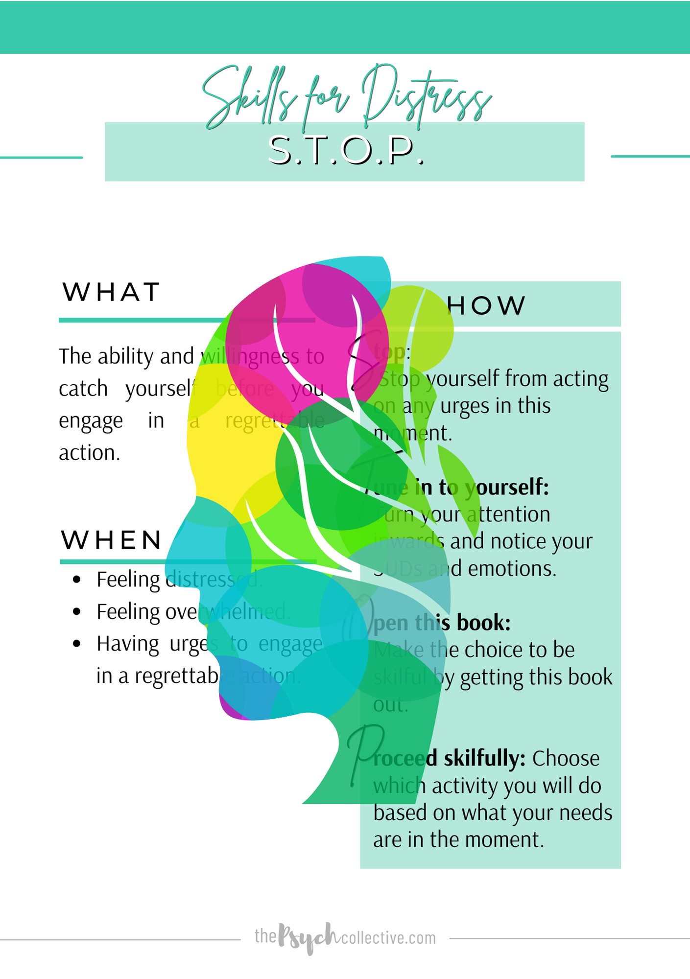 Skills for Coping eBook
