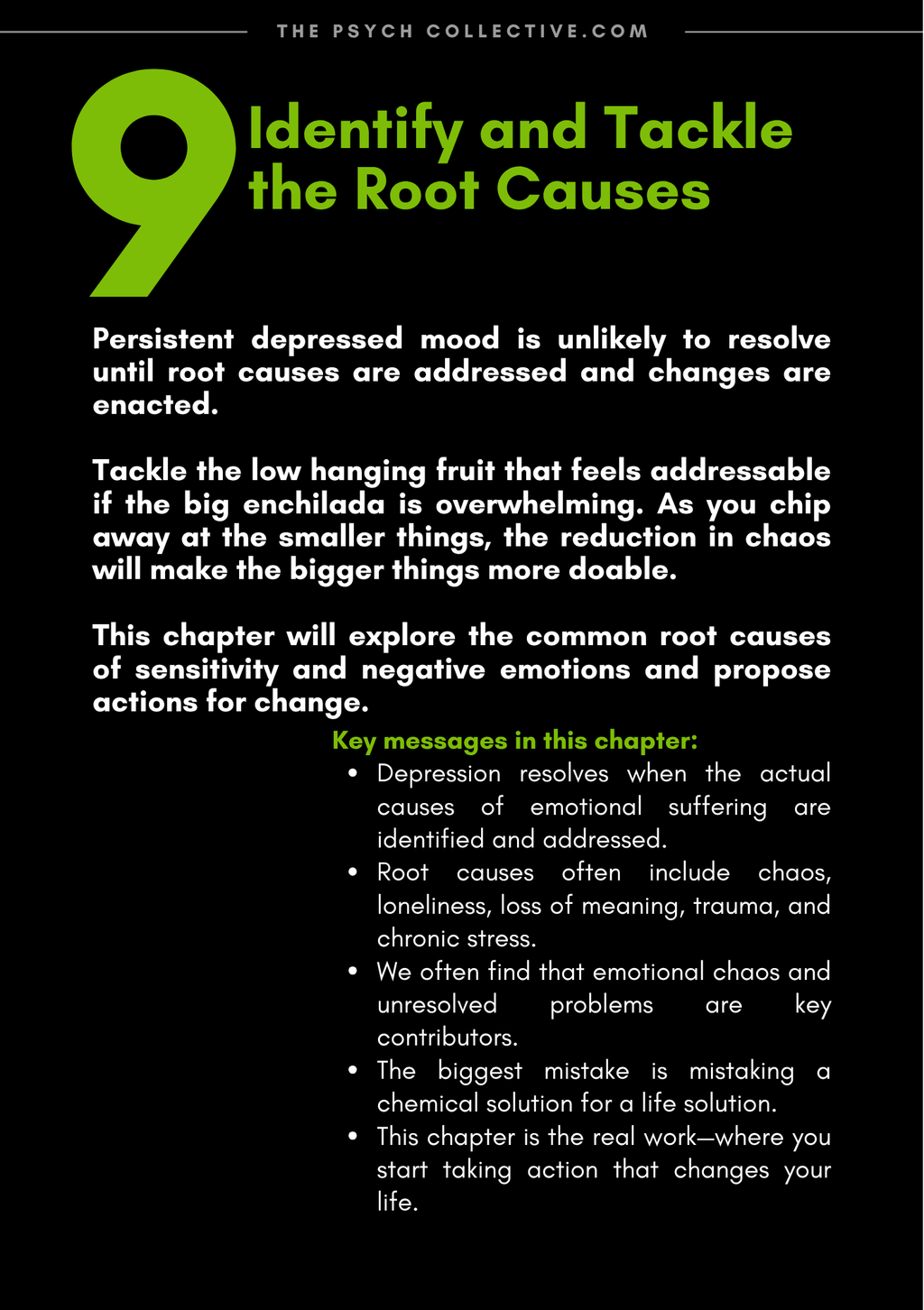 The Depression Solution - eBook