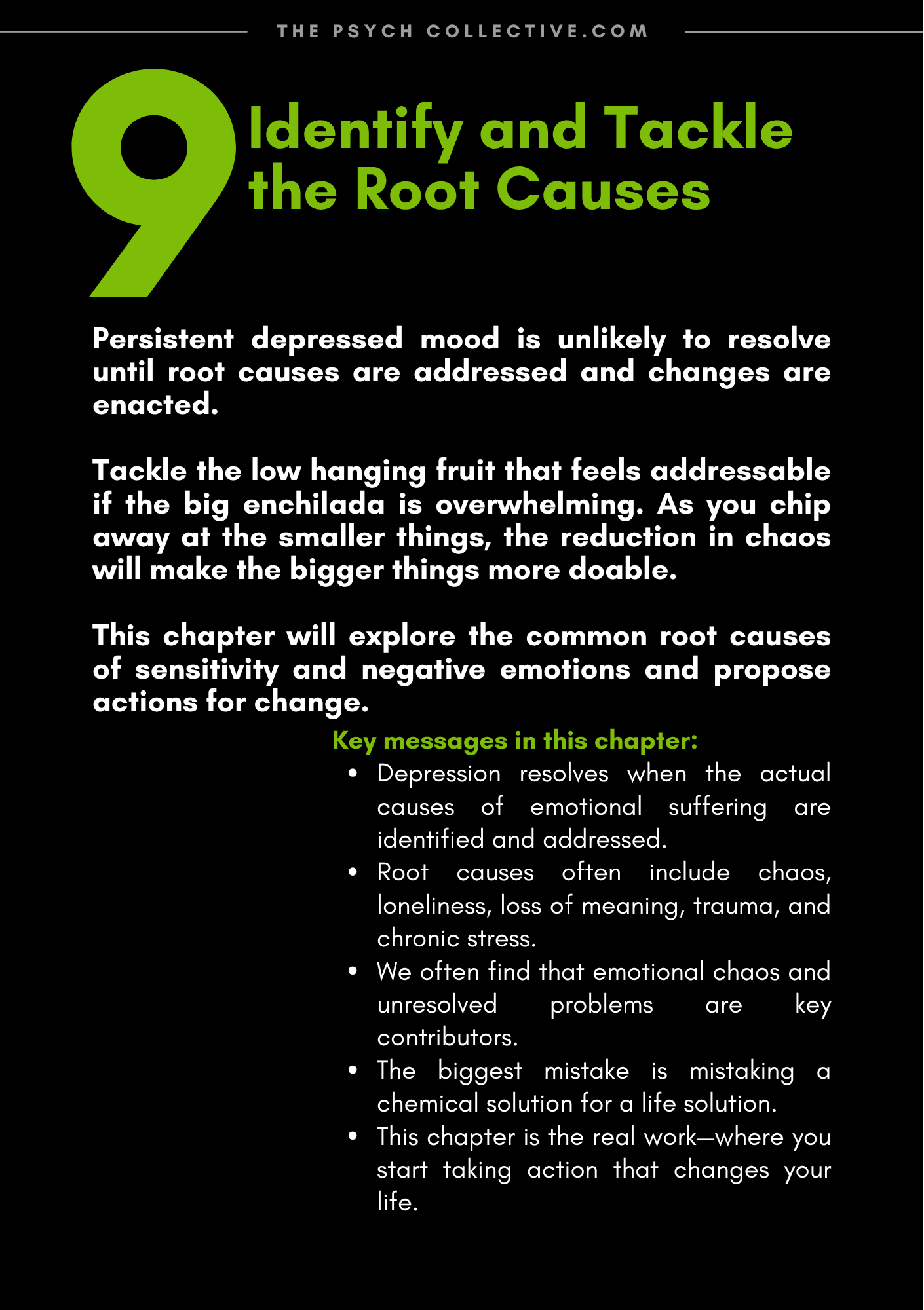 The Depression Solution - eBook