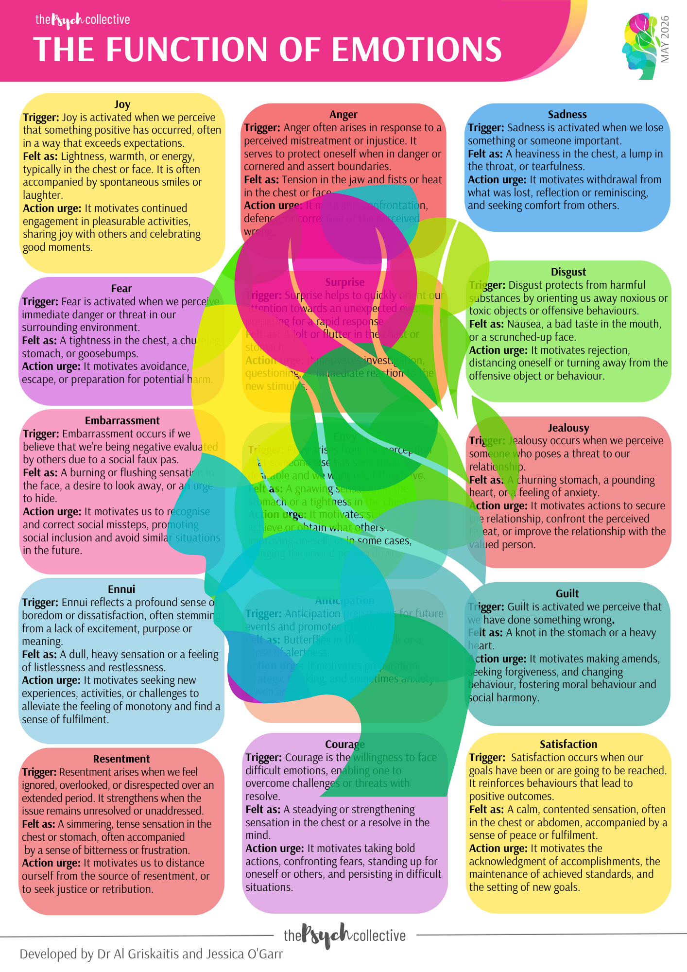 The Function of Emotions