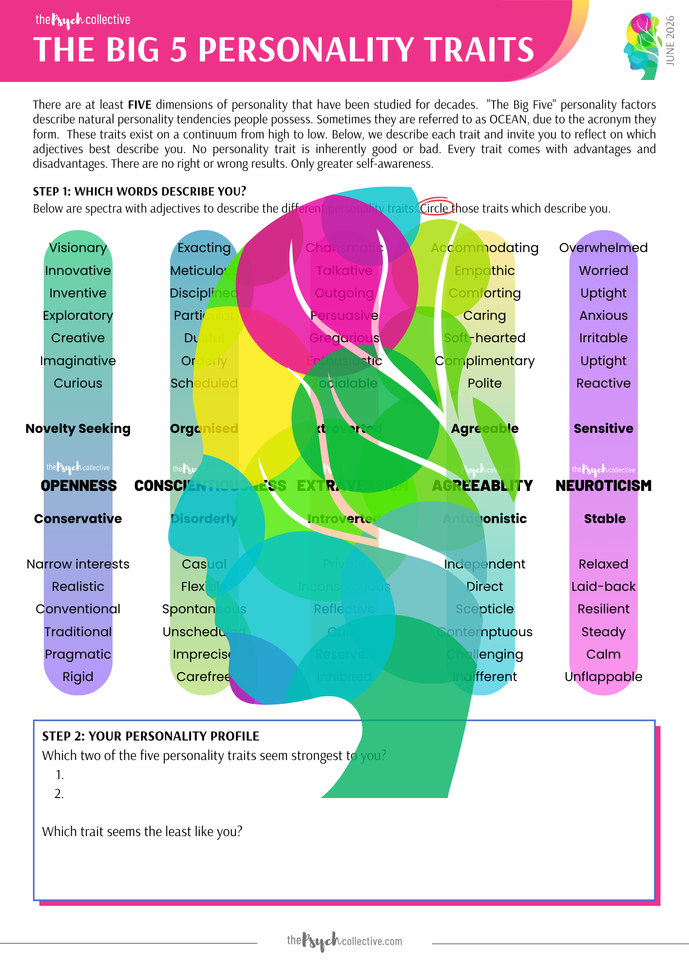 The Big 5 Personality Traits