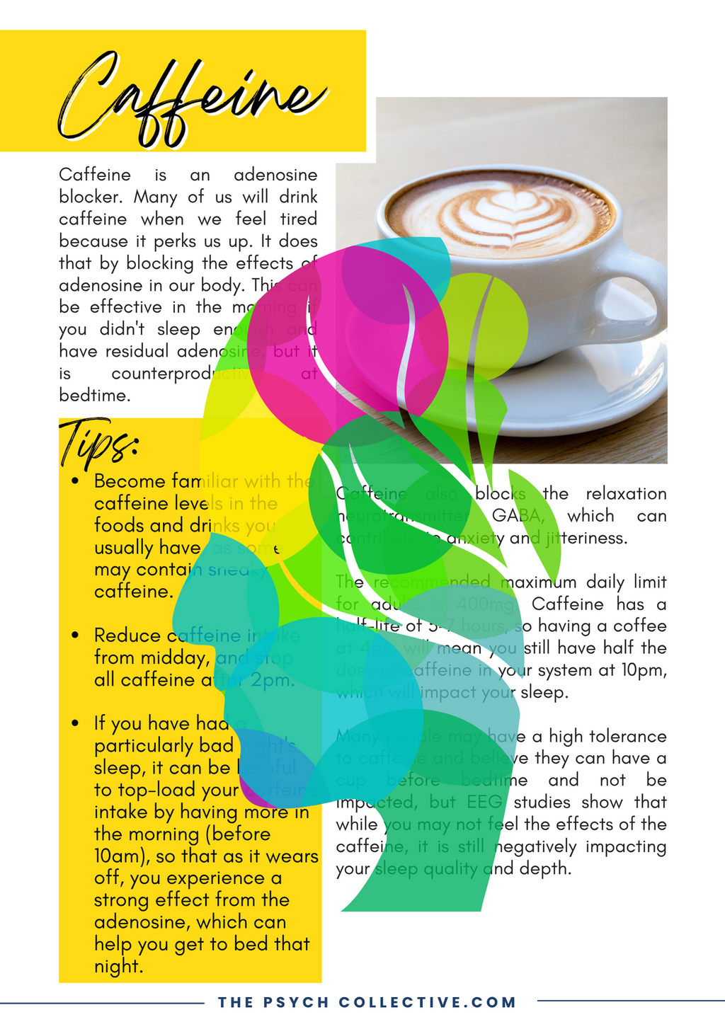 Sleep: Struggles and Skills eBook