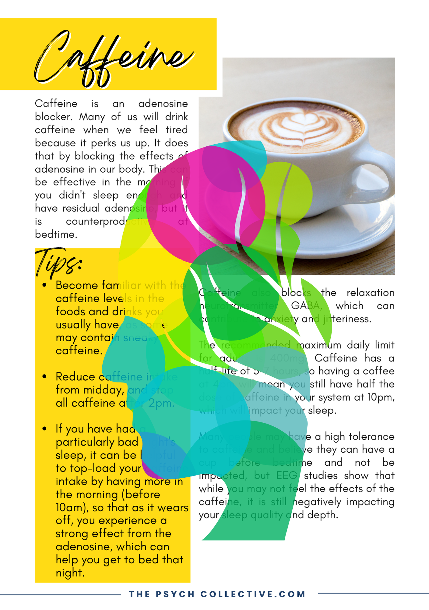 Sleep: Struggles and Skills eBook
